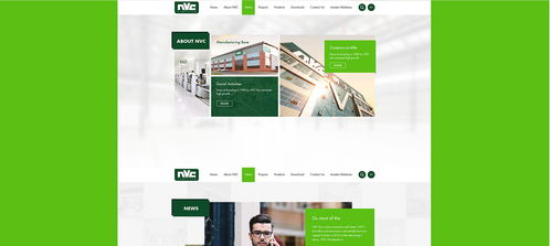 雷士光電官方網(wǎng)站建設(shè)項(xiàng)目 構(gòu)建專業(yè)數(shù)字門戶，照亮品牌未來